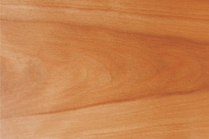 Prefinished Beech Wood Plank Countertops