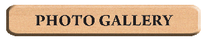 View Pictures of Butcher Blocks, Stair Treads and other Wood Products Photo Gallery Butcher Blocks, Stair Treads and more