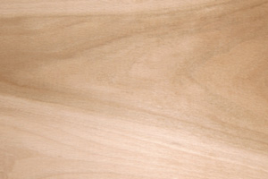 Beech End Grain Butcher Block Countertops