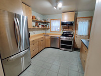 Ash Plank Countertop