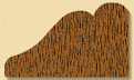 Wood Miscellaneous Profile