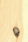 Knotty Pine