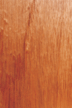Prefinished Spanish Cedar Wood